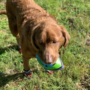 Meet your Posher, Leslie